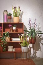 Mica Decorations Plantenverhoger - goud - H35 x B21 cm - metaal - plantenstandaard - Plantenpot/bloempot verhoger