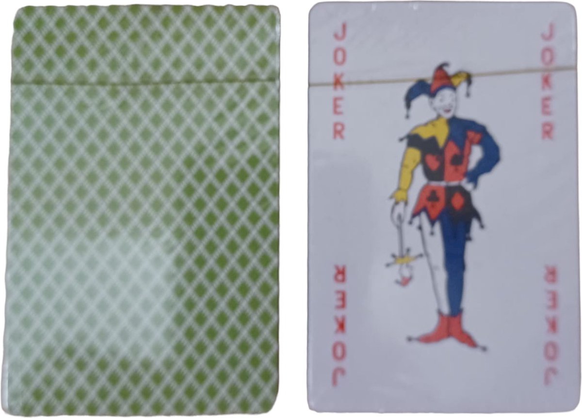 BCG speelkaarten 2 stuks | Poker kaarten | Cave & Garden