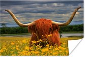 Poster Highlander écossais aux grandes cornes papier 180x120 cm - Tirage photo sur Poster (décoration murale salon / chambre) / Poster Animaux sauvages XXL / Groot format!