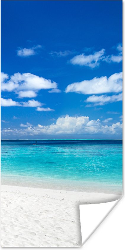Affiche Plage - Mer - Palmier - Île - 20x40 cm