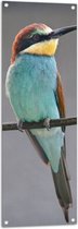 WallClassics - Tuinposter – Kleurrijke Bijeneter Vogel - 40x120 cm Foto op Tuinposter  (wanddecoratie voor buiten en binnen)