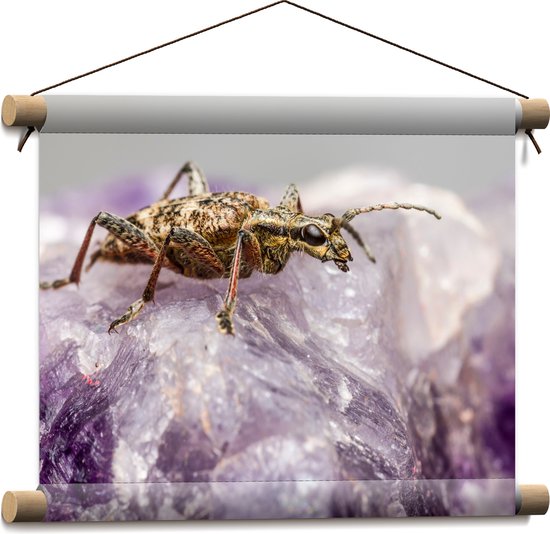 WallClassics - Textielposter - Insect op een Paars Kristal - 40x30 cm Foto op Textiel