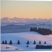 WallClassics - Drapeau - Collines et Montagnes avec Neige - Photo 50x50 cm sur Drapeau Polyester