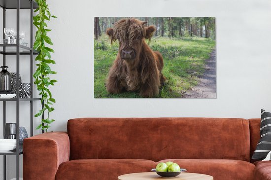 Tableau sur Toile Scottish Highlander - Crapaud - Animaux - 120x80 cm - Décoration murale