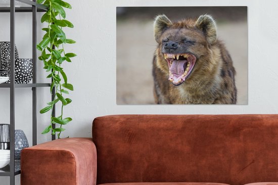 Une hyène montre ses crocs acérés Toile 80x60 cm - Tirage photo sur toile  (Décoration... | bol.com