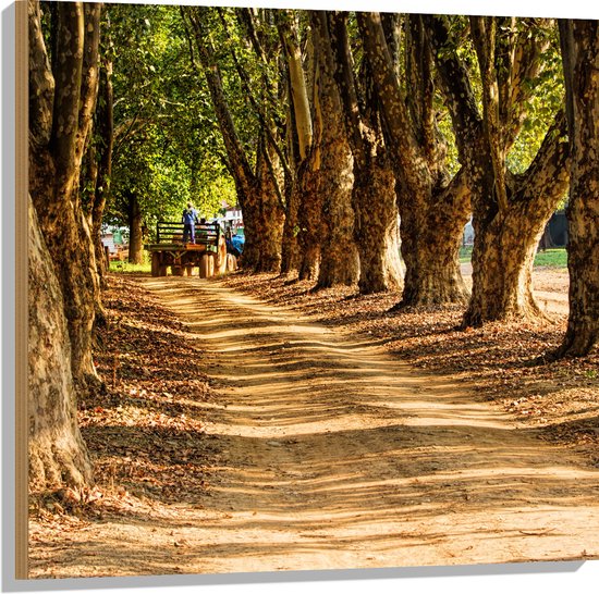 WallClassics - Hout - Boer op Tractor op Bospad - 80x80 cm - 12 mm dik - Foto op Hout (Met Ophangsysteem)