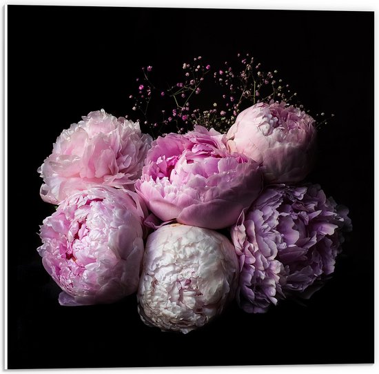WallClassics - Panneau en mousse PVC – Fleurs roses/violettes sur fond noir – Photo 50 x 50 cm sur panneau en mousse PVC