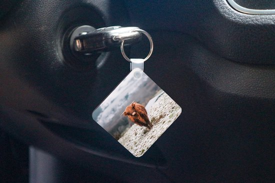 Porte-clés - Cadeaux à distribuer - Highlander écossais - Neige - Berg - Plastique