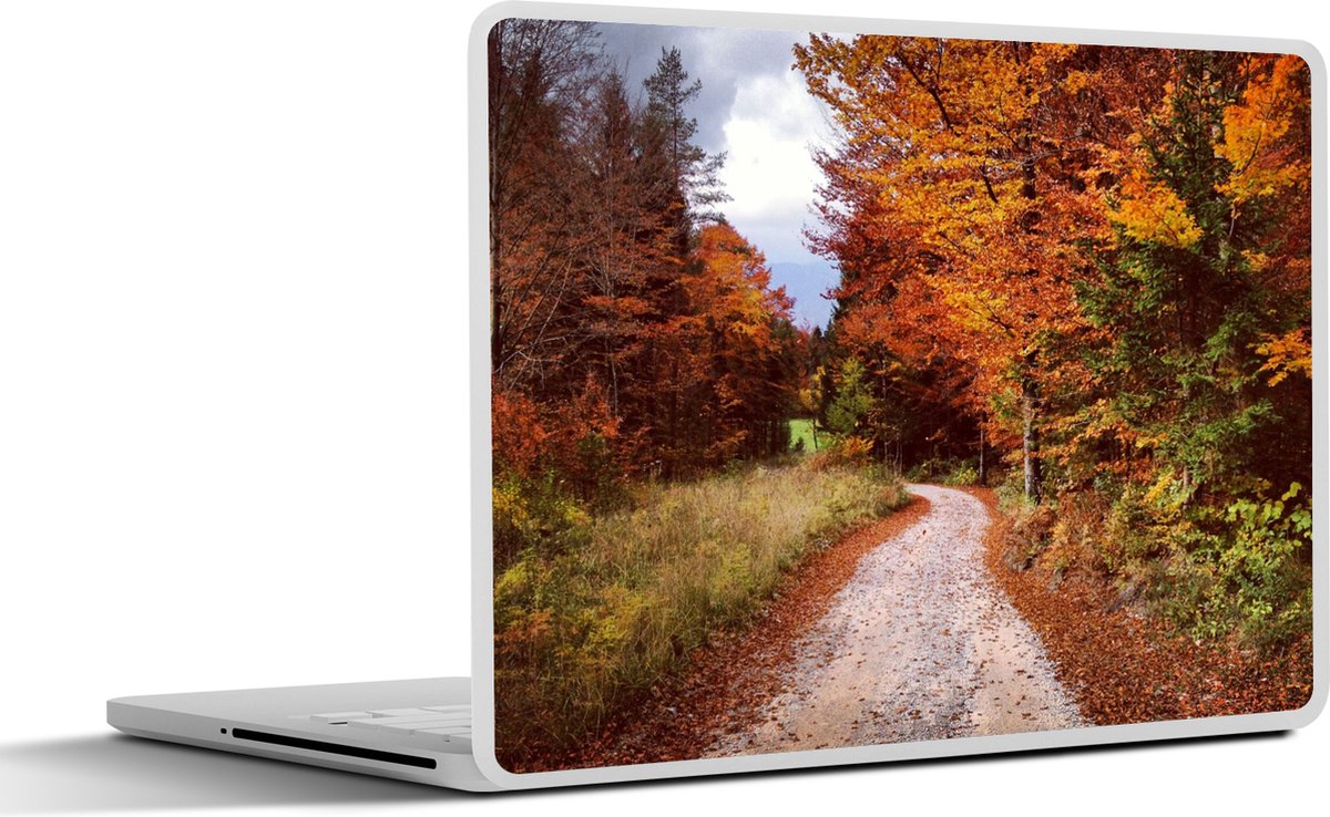 Laptop sticker - 13.3 inch - Herfst - Herfstbladeren - Pad - Bos - 31x22,5cm - Laptopstickers - Laptop skin - Cover