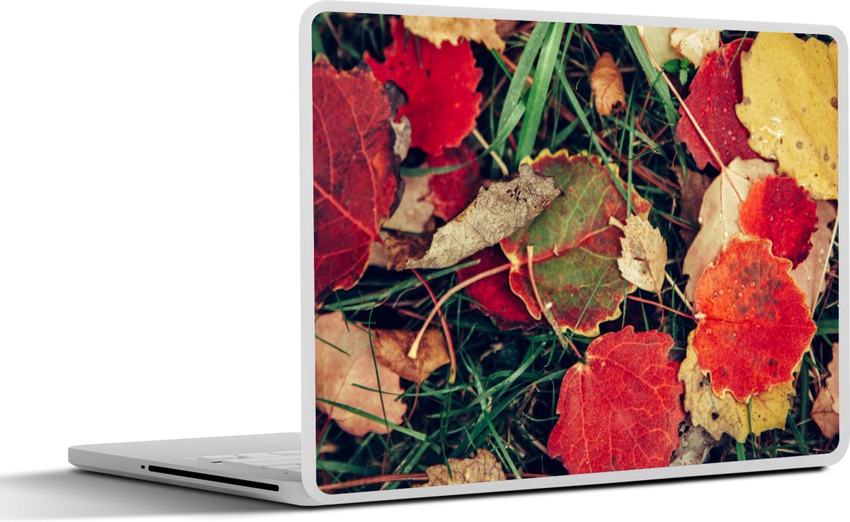 Laptop sticker - 15.6 inch - Bladeren - November - Herfst - Natuur - 36x27,5cm - Laptopstickers - Laptop skin - Cover