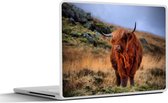 Laptop sticker - 11.6 inch - Schotse Hooglander - Gras - Stenen - 30x21cm - Laptopstickers - Laptop skin - Cover