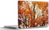 Laptop sticker - 15.6 inch - Bos - Herfst - Seizoenen - 36x27,5cm - Laptopstickers - Laptop skin - Cover
