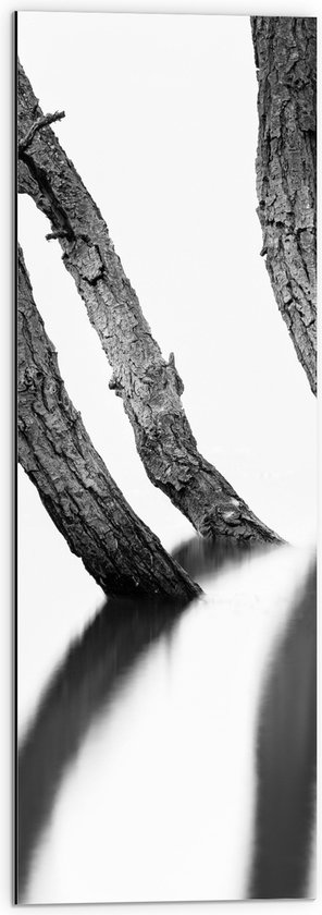 WallClassics - Dibond - Smalle Boomstammen (zwart/wit) - 30x90 cm Foto op Aluminium (Wanddecoratie van metaal)