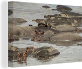 Canvas Schilderij Nijlpaard - Vijver - 60x40 cm - Wanddecoratie