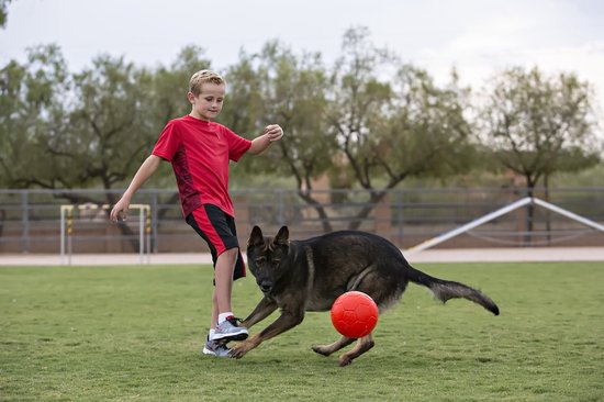 Jongen en Duitse herder spelen samen met een oranje bal op een grasveld.