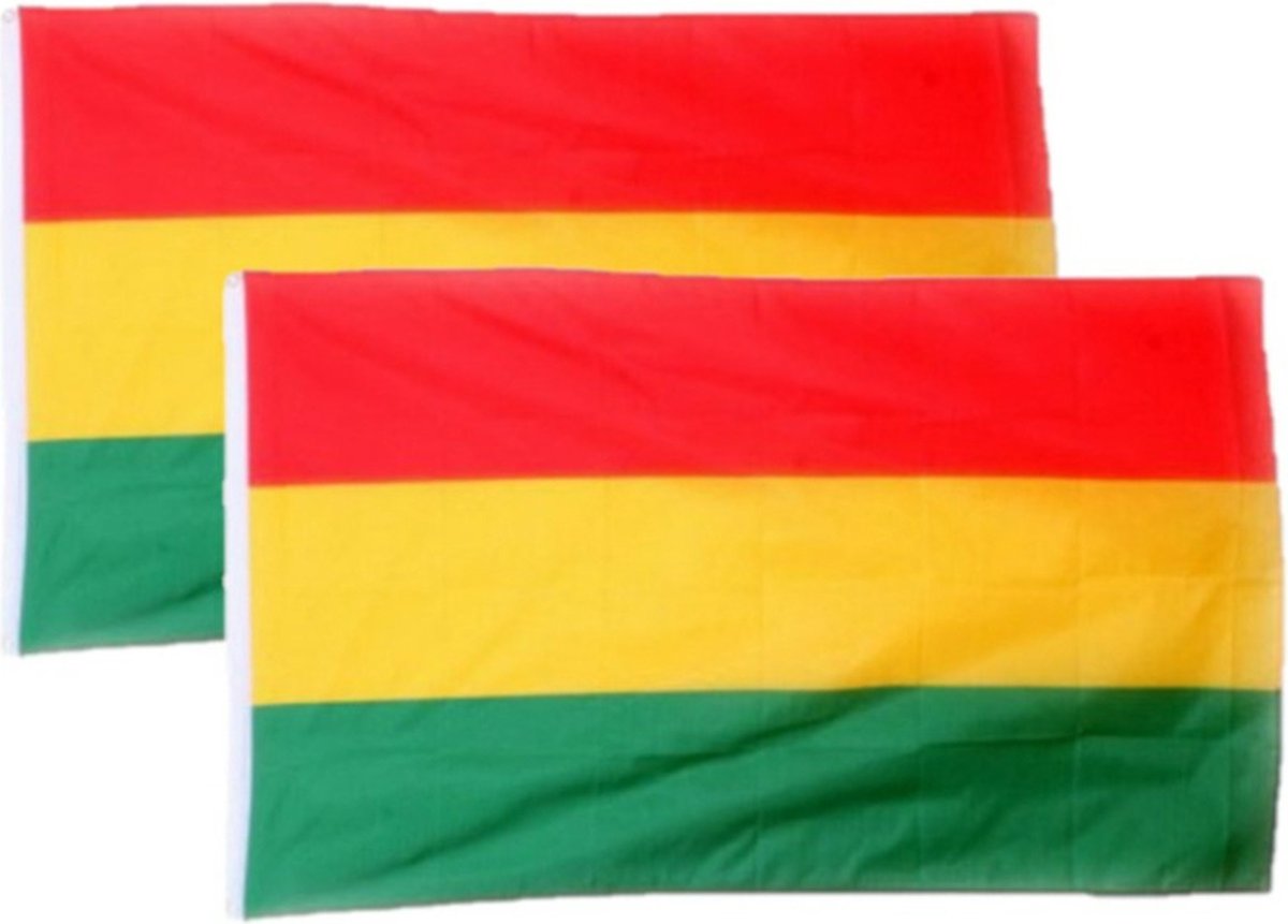 2x stuks vlag Carnaval in Limburg rood-geel-groen 90 x 150 cm