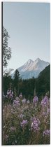 WallClassics - Dibond - Roze Bloesemtakken in Berggebied - 20x60 cm Foto op Aluminium (Met Ophangsysteem)