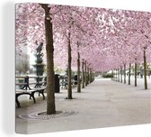 Canvas Schilderij Grote sakura bomen bij een park - 80x60 cm - Wanddecoratie