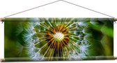 WallClassics - Affiche Textile - Pissenlit avec Fond Vert Flou - 90x30 cm Photo sur Textile