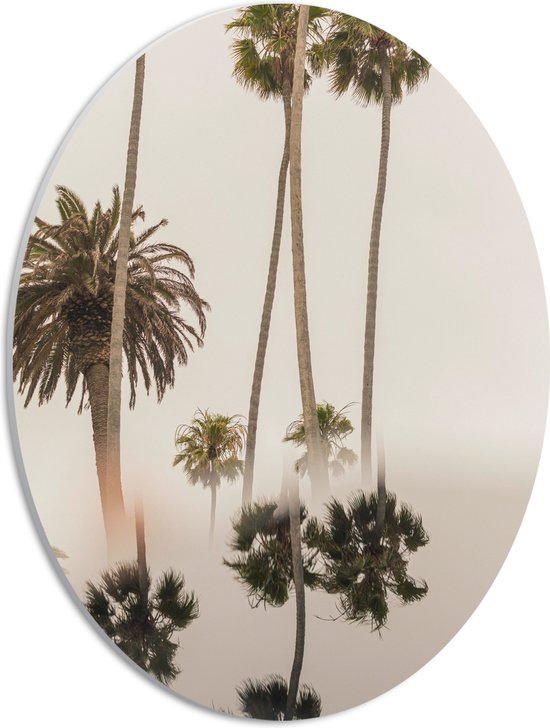 WallClassics - PVC Schuimplaat Ovaal - Smalle Palmbomen met Weerspiegeling - 30x40 cm Foto op Ovaal  (Met Ophangsysteem)