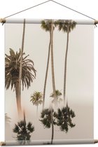 WallClassics - Textielposter - Smalle Palmbomen met Weerspiegeling - 60x80 cm Foto op Textiel