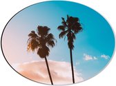 WallClassics - Dibond Ovaal - Twee Palmbomen voor Wolk - 40x30 cm Foto op Ovaal (Met Ophangsysteem)