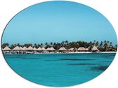 WallClassics - Dibond Ovaal - Huisjes op een Tropisch Strand - 80x60 cm Foto op Ovaal (Met Ophangsysteem)