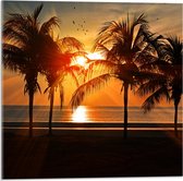 WallClassics - Acrylglas - Palmbomen op het Strand bij Zonsondergang - 50x50 cm Foto op Acrylglas (Met Ophangsysteem)