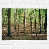 WallClassics - Muursticker - Mooi Weer in het Bos - 40x30 cm Foto op Muursticker