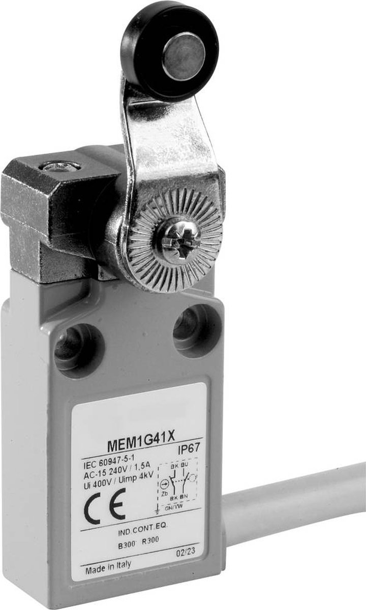 Panasonic MEM1G41ZD MEM1G41ZD Eindschakelaar 24 V 5 A Rolhendel IP67 1 stuk(s)
