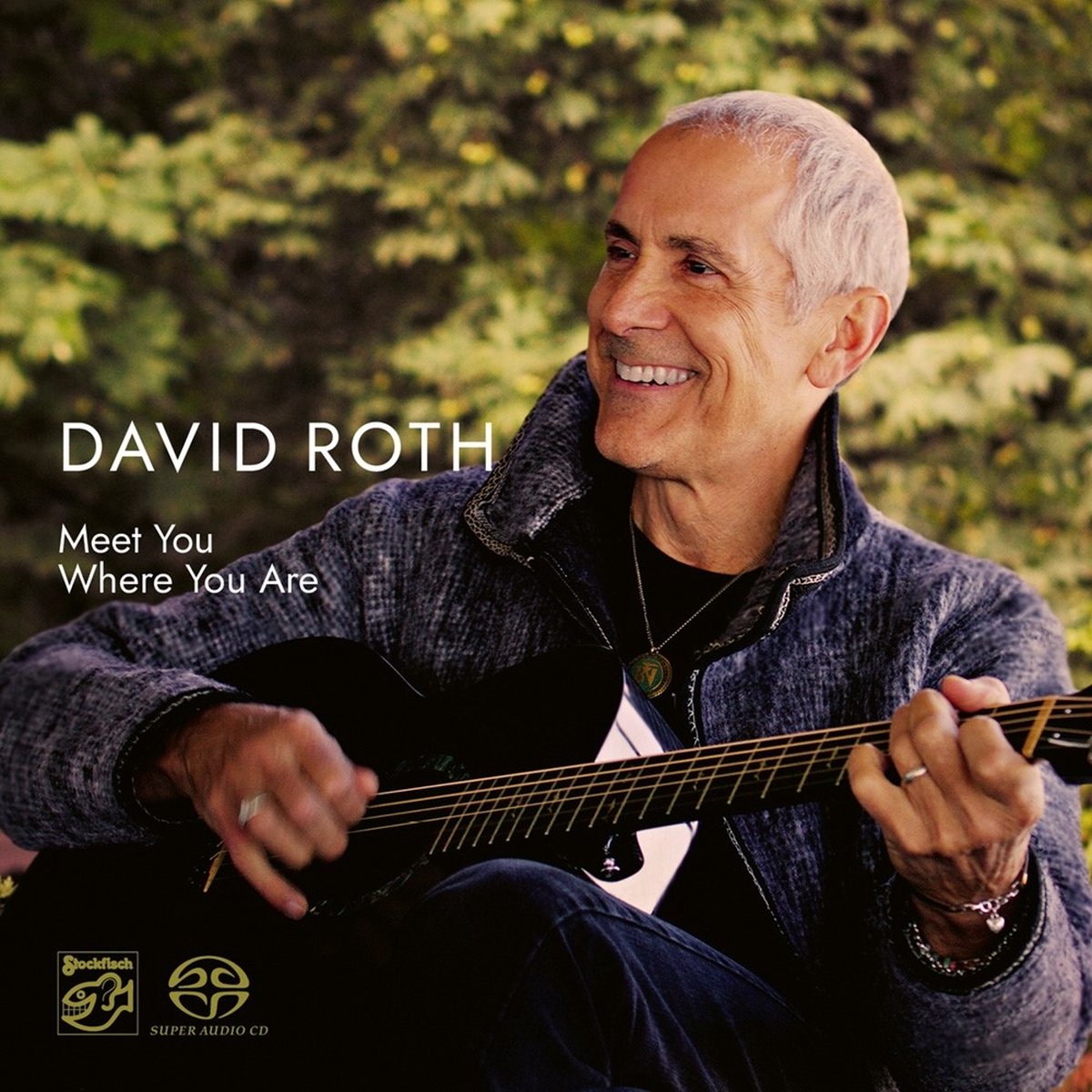 David Roth - Meet Me Where You Are (SACD)