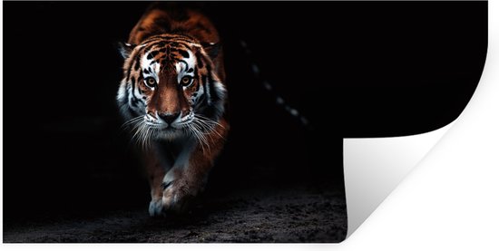 Stickers muraux - Feuille Autocollant - Animaux - Tigre - Zwart - Sauvage - Portrait - 40x20 cm - Film Adhésif - Stickers muraux Chambre Enfant - Papier Peint Autocollant