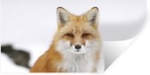 Stickers Stickers muraux - Renard - Neige - Hiver - 120x60 cm - Feuille adhésive