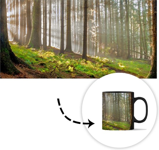 Mug Magique - Photo sur Mugs Chauffants - Tasse à Café - Soleil - Branches - Arbres - Forêt - Nature - Mug Magic - Tasse - 350 ML - Tasse à Thé