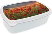 Broodtrommel Wit - Lunchbox - Brooddoos - Zonsondergang - Klaprozen - Rood - Bloemen - Veld - Natuur - 18x12x6 cm - Volwassenen