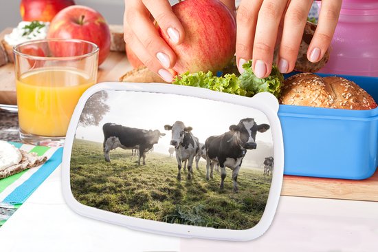 Lunchbox Blauw - Lunchbox - Boîte à pain - Vaches - Léger - Herbe - Animaux - 18x12x6 cm - Enfants - Garçon