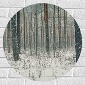 WallClassics - Muursticker Cirkel - Vallende Sneeuwvlokken in het Bos - 60x60 cm Foto op Muursticker