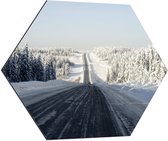 WallClassics - Dibond Hexagon - Driving Home For Christmas - 70x60.9 cm Foto op Hexagon (Met Ophangsysteem)