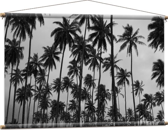 WallClassics - Textielposter - Heel Veel Palmbomen Zwart / Wit - 120x80 cm Foto op Textiel