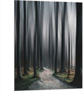 WallClassics - Dibond - Hele Hoge Abstracte Bomen - 75x100 cm Foto op Aluminium (Met Ophangsysteem)