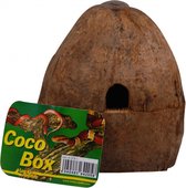 Lucky Reptile Coco Box