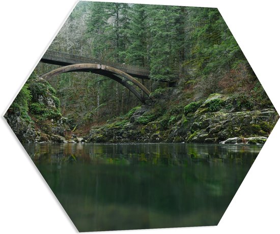 WallClassics - PVC Schuimplaat Hexagon  - Moulton Falls Bridge - Brug in het Bos - 80x69.6 cm Foto op Hexagon (Met Ophangsysteem)