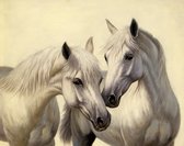 Diamond painting 25x25cm - paarden - ronde steentjes