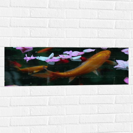 WallClassics - Muursticker - Goudvissen in Water met Bloemblaadjes - 90x30 cm Foto op Muursticker