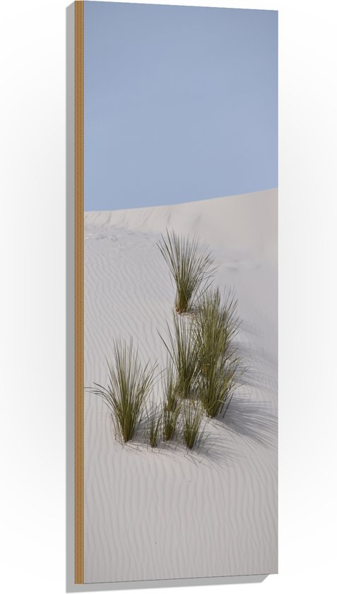 WallClassics - Hout - Grassen in het Zand in Duinen - 40x120 cm - 12 mm dik - Foto op Hout (Met Ophangsysteem)