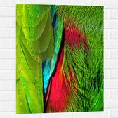 WallClassics - Muursticker - Groen met Rode Veren van een Vogel - 60x80 cm Foto op Muursticker