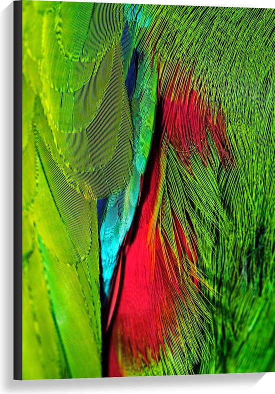 WallClassics - Canvas  - Groen met Rode Veren van een Vogel - 60x90 cm Foto op Canvas Schilderij (Wanddecoratie op Canvas)