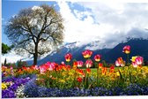 WallClassics - PVC Schuimplaat - Felgekleurde Bloemen in het Veld met Berg en Boom - 90x60 cm Foto op PVC Schuimplaat (Met Ophangsysteem)