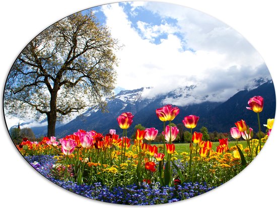 WallClassics - Dibond Ovaal - Felgekleurde Bloemen in het Veld met Berg en Boom - 68x51 cm Foto op Ovaal (Met Ophangsysteem)