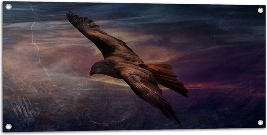 WallClassics - Tuinposter – Golden Eagle Vliegend - 100x50 cm Foto op Tuinposter  (wanddecoratie voor buiten en binnen)